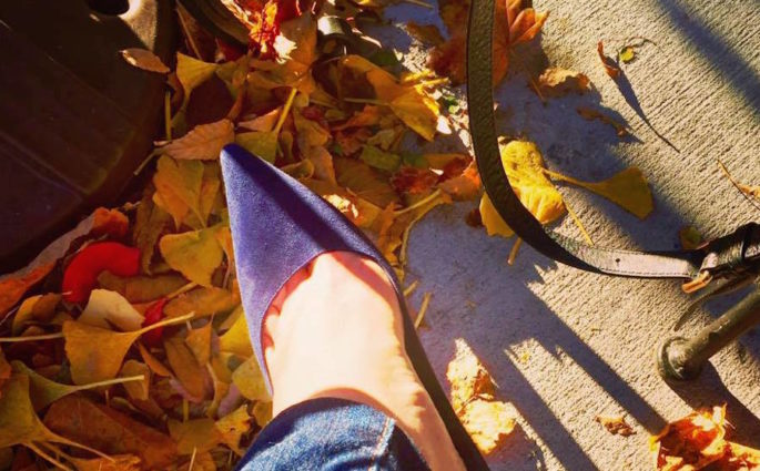 royally-blue-suede-manolos-against-autumn-sunshine